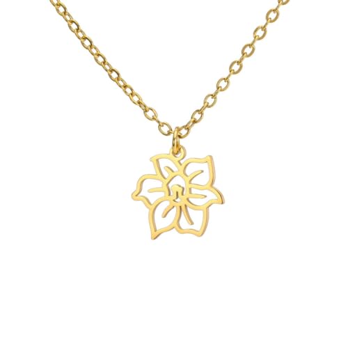 Caiduoduo Geburt Mond Blume Anhänger Halskette Edelstahl Blume Aster Lotus Narzisse Schmuck Caiduoduo Geburt Mond Blume Anhänger Halskette Edelstahl Blume Aster Lotus Narzisse Schmuck von Caiduoduo