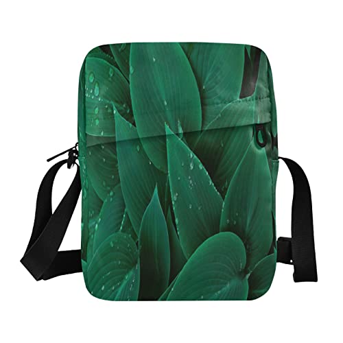 Floral with Hosta Green Leaves and Water Drops Crossbody Bag Small Casual Messenger Schultertasche Handtasche Handytasche Geldbörse für Damen Herren Kinder, Mehrfarbig, Einheitsgröße von Caihoyu