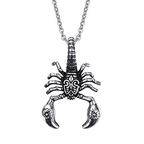 Caimeytie Herren Halskette Skorpion Anhänger Edelstahl valentins geschenke von Caimeytie