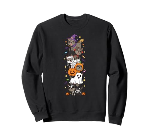 Cairn Terrier Hexe Vampir Geist Halloween Kinder Herren Damen Sweatshirt von Cairn Terrier Dog Lovers Halloween Skeleton Mummy