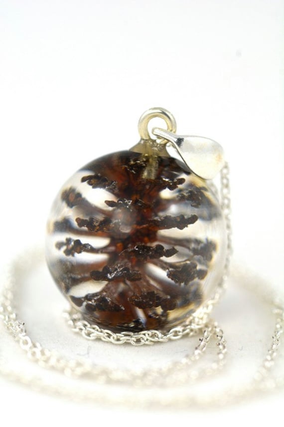 Anhänger Mit Dem Echten Kegel Der Schwarz-Erle | Alnus Glutinosa Im Bereich Harz Auf Einer Silbernen Kette. Kugel-Kette 1, 7 cm. 45 Anhänger Mit Dem Echten Kegel Der Schwarz-Erle | Alnus Glutinosa Im Bereich Harz Auf Einer Silbernen Kette. Kugel-Kette 1, 7 cm. 45 von Caldesia