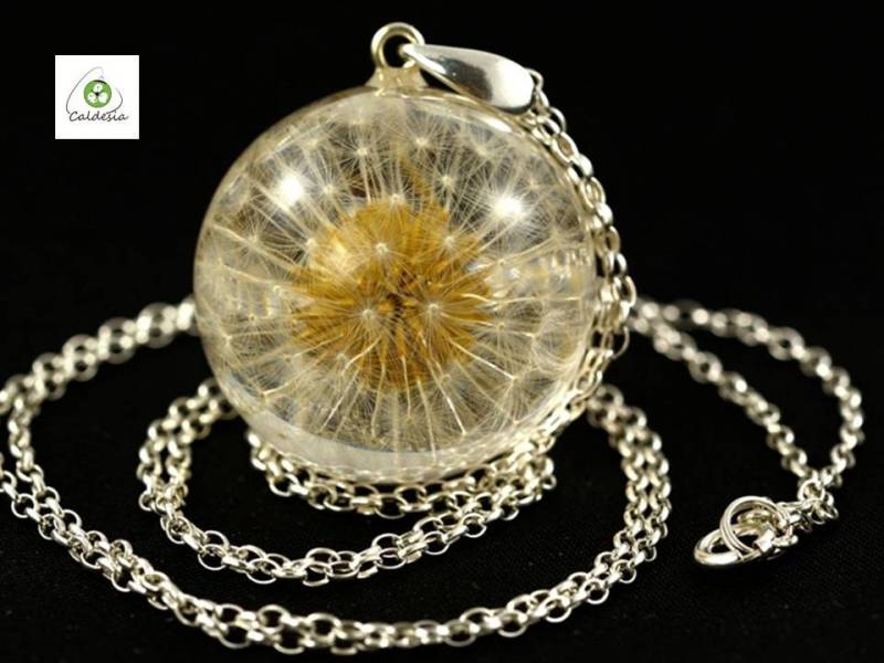 Anhänger Mit Echtem Löwenzahn | Taraxacum Officinale in Der Harzkugel An Einer Silberkette. Kugel 3 cm. Kette 80 von Caldesia