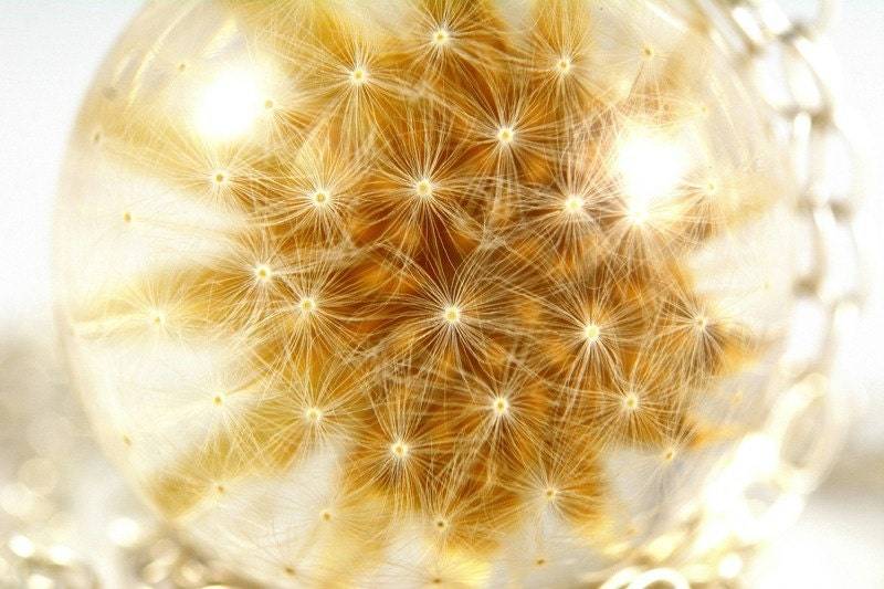 Anhänger Mit Echter Pustezahn | Taraxacum Officinale in Der Harzkugel An Einer Silberkette. Kugel 3, 4 cm. Kette 80 Anhänger Mit Echter Pustezahn | Taraxacum Officinale in Der Harzkugel An Einer Silberkette. Kugel 3, 4 cm. Kette 80 von Caldesia