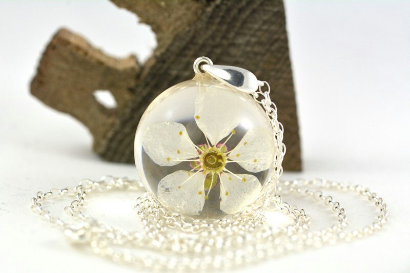 Anhänger Mit Echter Weißer Kirschblüte | Prunus Sp. in Der Harzkugel An Einer Silbernen Kette. Spehre 2, 5 cm. Kette 80 Anhänger Mit Echter Weißer Kirschblüte | Prunus Sp. in Der Harzkugel An Einer Silbernen Kette. Spehre 2, 5 cm. Kette 80 von Caldesia