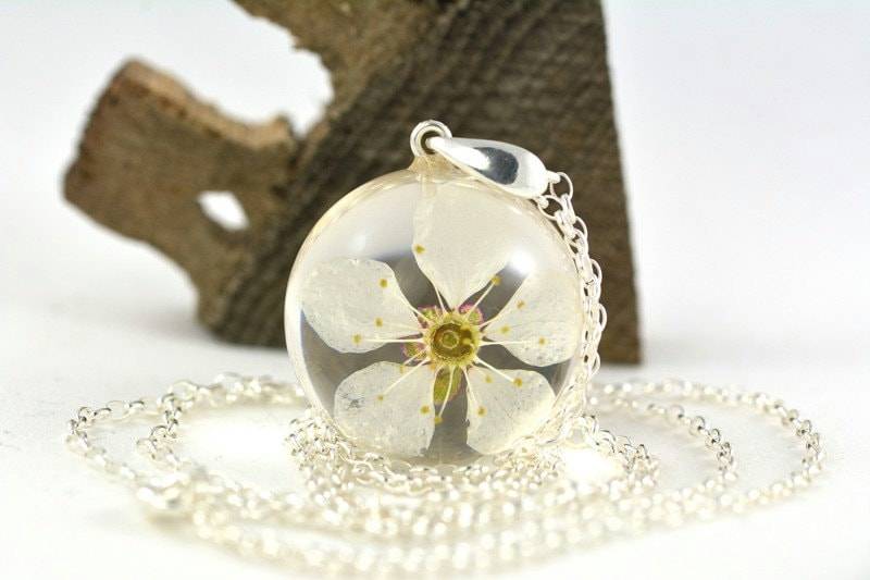 Anhänger Mit Echter Weißer Kirschblüte | Prunus Sp. in Der Harzkugel An Einer Silbernen Kette. Spehre 2, 5 cm. Kette 80 Anhänger Mit Echter Weißer Kirschblüte | Prunus Sp. in Der Harzkugel An Einer Silbernen Kette. Spehre 2, 5 cm. Kette 80 von Caldesia