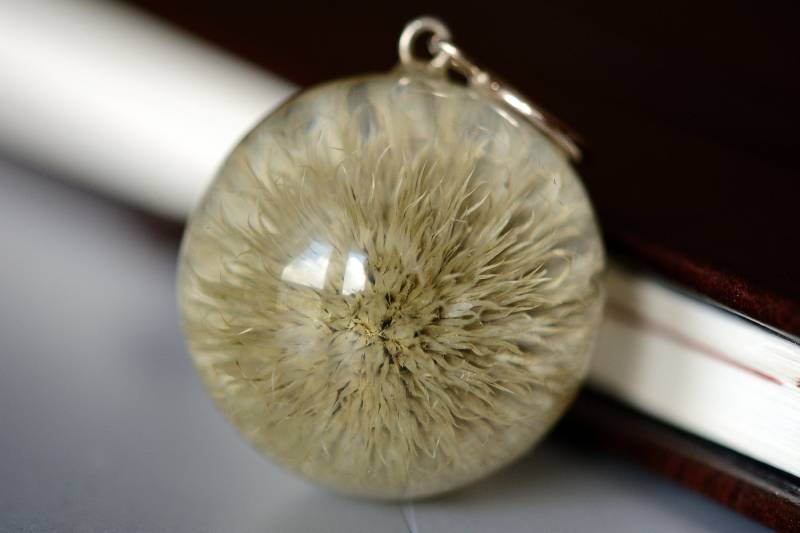 Harz Anhänger Mit Echtem Arctic Glow | Echinops Sphaerocephalus Hexe Sterling Silber, Naturschmuck. Kugel 3 cm. Winchout Kette Harz Anhänger Mit Echtem Arctic Glow | Echinops Sphaerocephalus Hexe Sterling Silber, Naturschmuck. Kugel 3 cm. Winchout Kette von Caldesia