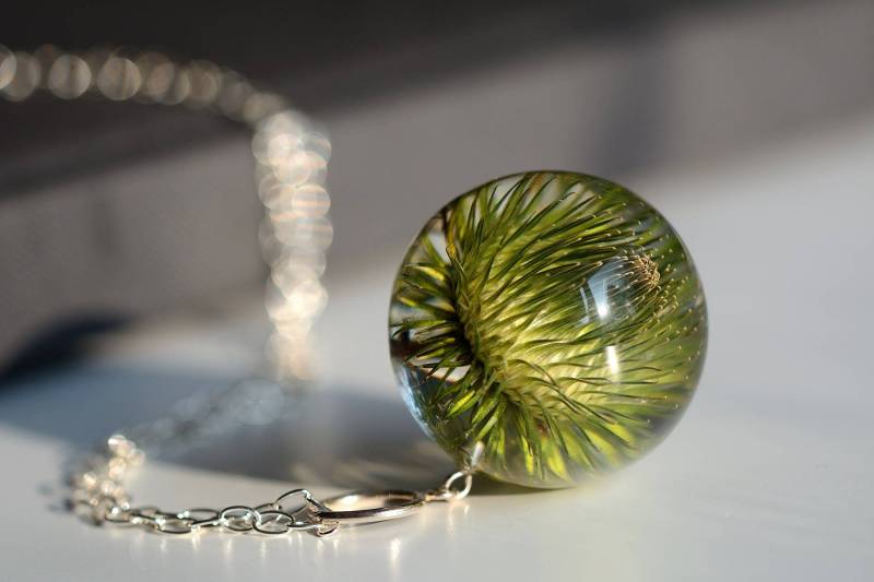 Harz Anhänger Mit Echter Klette, Grüne Klette Halskette, Harzschmuck Pflanze, Made in Poland. Kugel 4 cm. Kette 80 Harz Anhänger Mit Echter Klette, Grüne Klette Halskette, Harzschmuck Pflanze, Made in Poland. Kugel 4 cm. Kette 80 von Caldesia