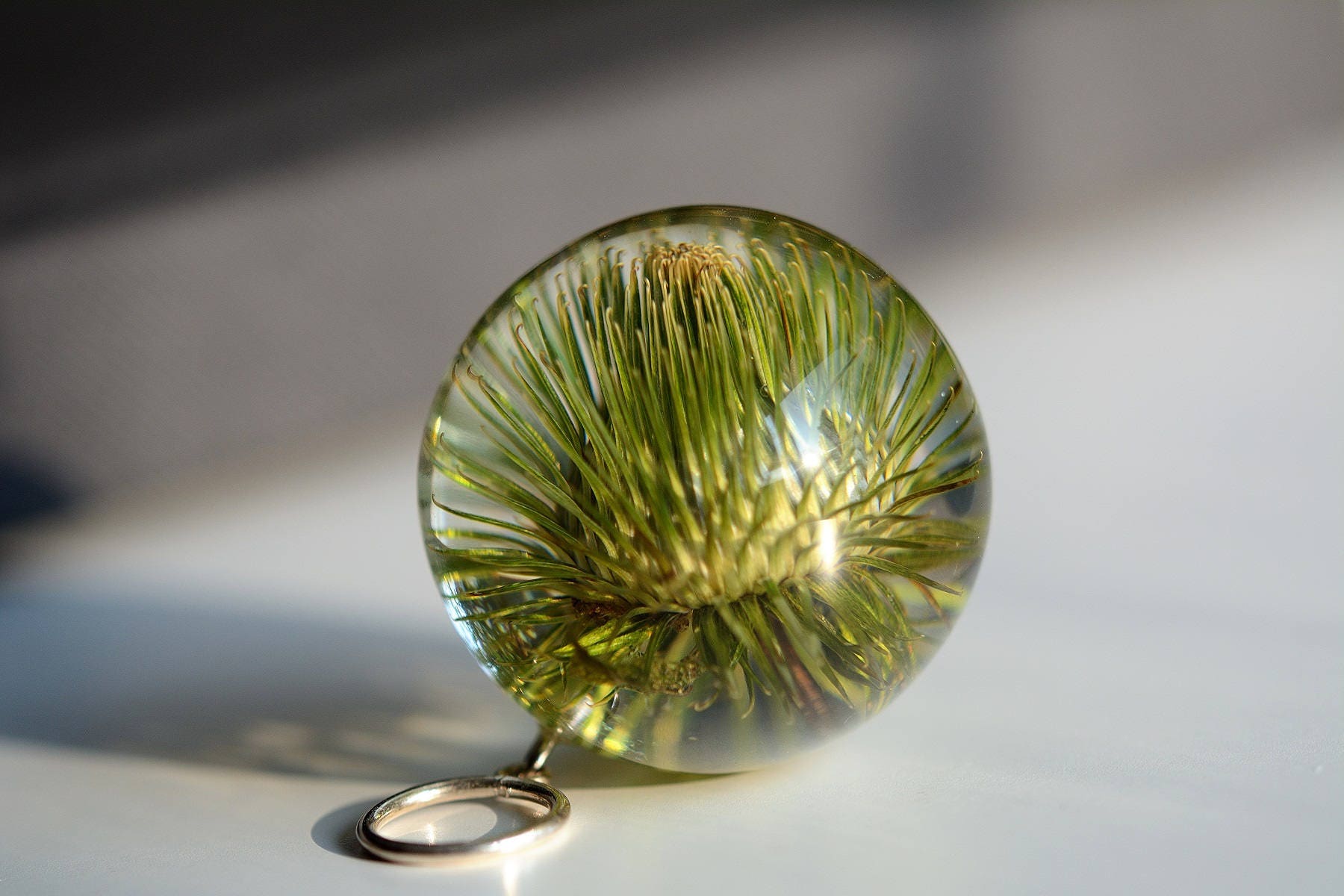 Harz Anhänger Mit Echter Klette, Grüne Klette Halskette, Resinn Schmuck Pflanze, Made in Poland. Kugel 4 cm. Hexenkette Harz Anhänger Mit Echter Klette, Grüne Klette Halskette, Resinn Schmuck Pflanze, Made in Poland. Kugel 4 cm. Hexenkette von Caldesia