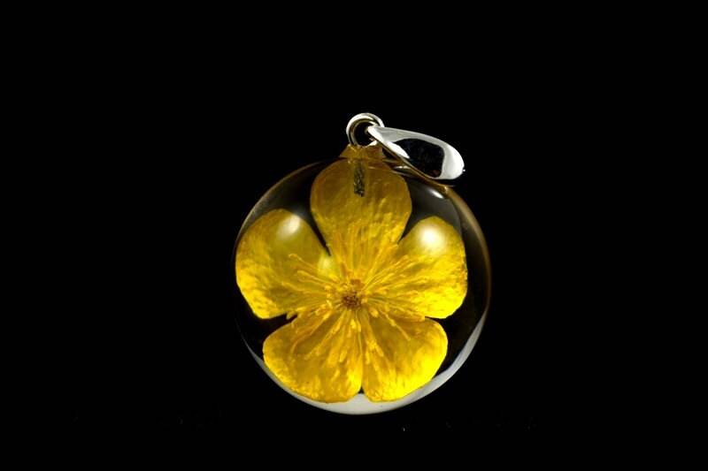 Kein Kettenanhänger Mit Echter Bauchiger Buttertasse | Ranunculus Bulbosus in Harzkugel Sterlingsilber. Kugel 2, 5 cm Oder 3 cm. Keine Kette von Caldesia