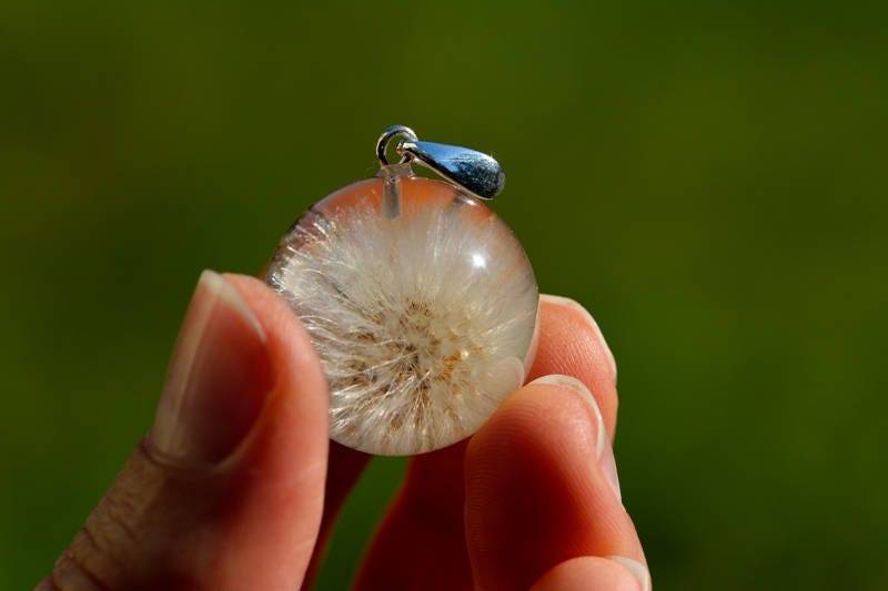 Kein Kettenanhänger Mit Echter Pusteblume Des Habichtskrauts | Picris Hieracioides in Der Kunstharzkugel. Kugel 2, 5 cm. Hexenkette von Caldesia