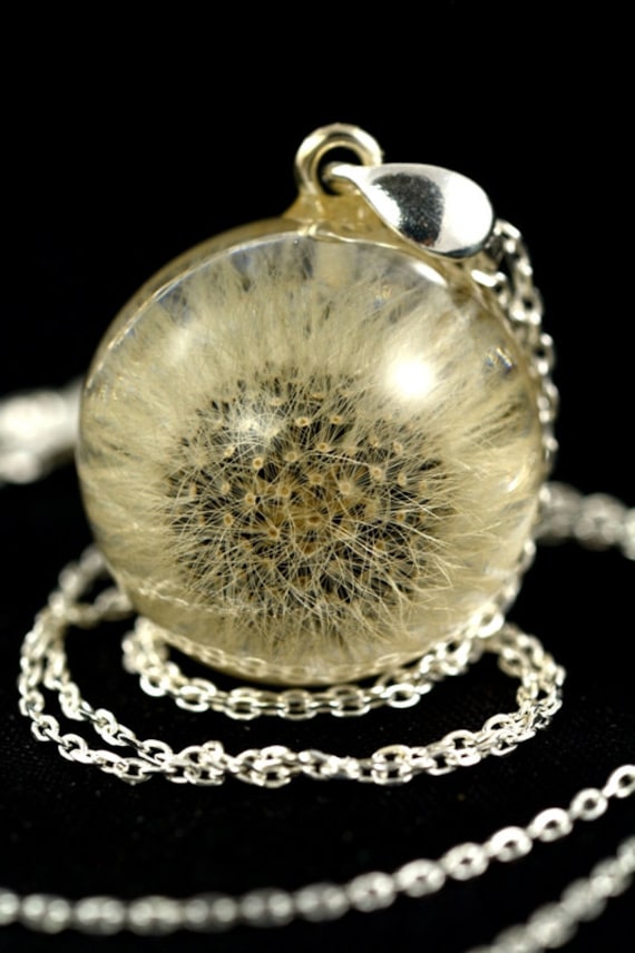 Kleiner Pustezahn Anhänger, Resin Silber Anhänger Mit Falkenkraut | Hieracium Pilosella in Kugel. Kugel 2 cm. Kette 45 Kleiner Pustezahn Anhänger, Resin Silber Anhänger Mit Falkenkraut | Hieracium Pilosella in Kugel. Kugel 2 cm. Kette 45 von Caldesia