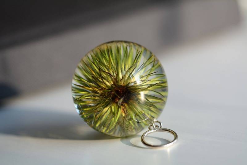 Klettenanhänger, Grüner Harzanhänger, Echte Klettenharzanhänger, Silberanhänger, Echte Pflanzen Schmuck, Sphere 3.4 cm. Hexenkette Klettenanhänger, Grüner Harzanhänger, Echte Klettenharzanhänger, Silberanhänger, Echte Pflanzen Schmuck, Sphere 3.4 cm. Hexenkette von Caldesia