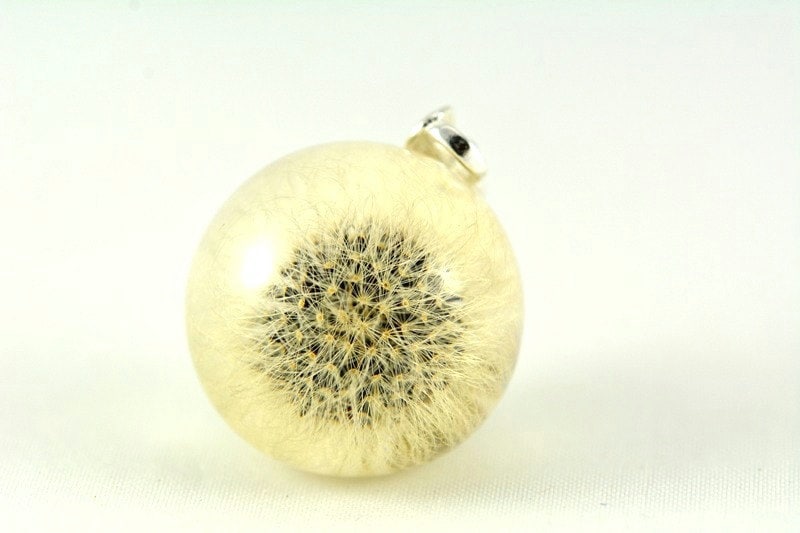 Löwenzahn Anhänger, Harz Silber Anhänger Mit Mauseohr Habichtskraut | Hieracium Pilosella in Resin Kugel, Ohne Kette Zart Löwenzahn Anhänger, Harz Silber Anhänger Mit Mauseohr Habichtskraut | Hieracium Pilosella in Resin Kugel, Ohne Kette Zart von Caldesia