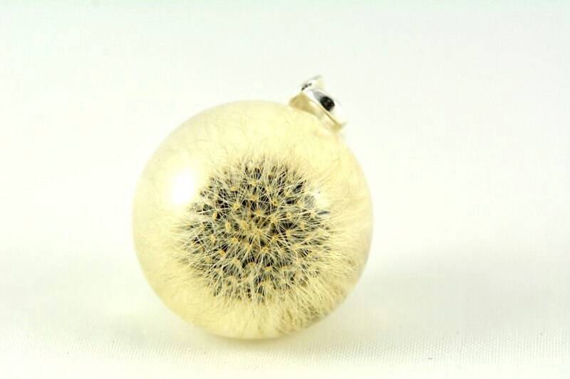 Löwenzahn Anhänger, Harz Silber Anhänger Mit Mauseohr Habichtskraut | Hieracium Pilosella in Resin Kugel, Ohne Kette Zart von Caldesia