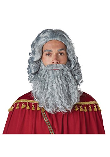 Wise Man Gray Wig and Beard Standard von California Costumes