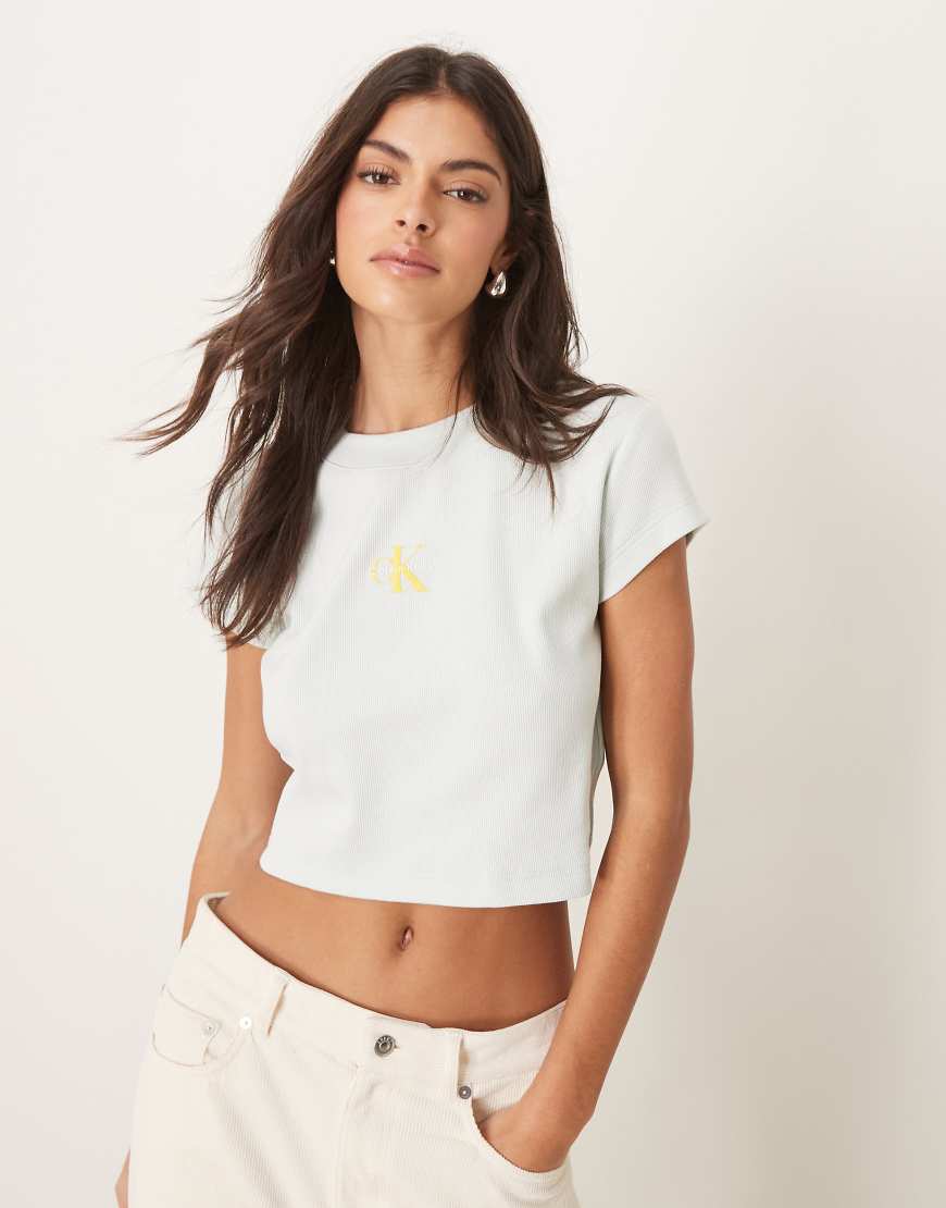 Calvin Klein Jeans - Knapp geschnittenes T-Shirt in Salbeigrün mit schwarz-weißem Logo Calvin Klein Jeans - Knapp geschnittenes T-Shirt in Salbeigrün mit schwarz-weißem Logo von Calvin Klein Jeans