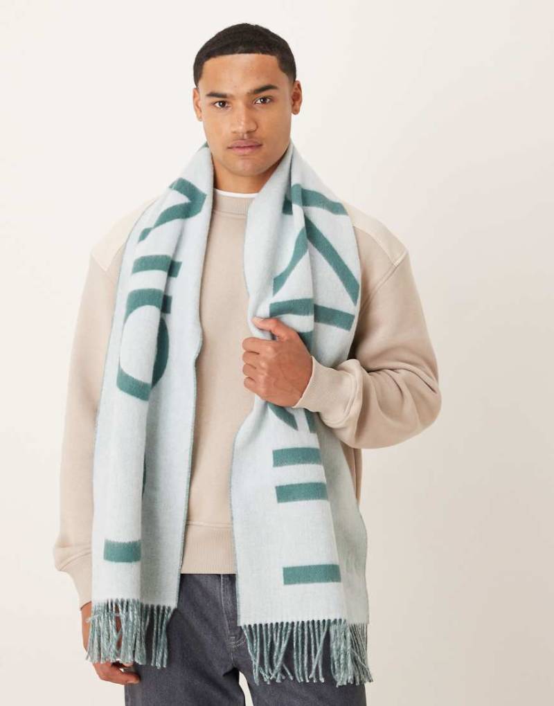 Calvin Klein - Weicher Wollschal in Minzgrün mit großem Logo von Calvin Klein Jeans