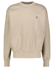 Herren Sweatshirt VERTICAL INSTITUTIONAL HWK von Calvin Klein Jeans