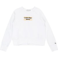 Sweatshirt 'Hero' von Calvin Klein Jeans