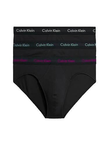 Calvin Klein Herren 3er Pack Hip Briefs Unterhosen Baumwolle mit Stretch, Schwarz (B-Wild Aster, Auth Grey, Arctic Lg), XS von Calvin Klein
