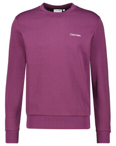 Herren Sweatshirt von Calvin Klein