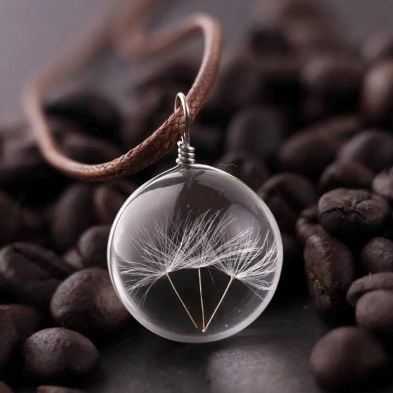 Runde Pusteblumen Kette Mit Echten in Transparent Lederband von CamaTrade24