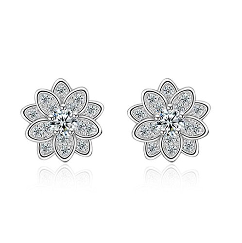 1 Paar Damen Mädchen Ohrringe ohrstecker Front-Back-Ohrringe Silber 925er Sterling Mit Zirkonia Glitzer Sterne Schneeflocke Fleur Retro Ohrhänger Hoop Studs Party Ohrschmuck,Allergikerfrei von Canarea