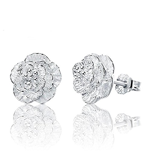 1 Paar Damen Mädchen Ohrringe ohrstecker Silber 925er Sterling Mit Zirkonia Krone Rose Blumen Vielen Stil Glitzer Klein Studs Party Ohrschmuck,Allergikerfrei,für Frauen Freundin Tochter von Canarea