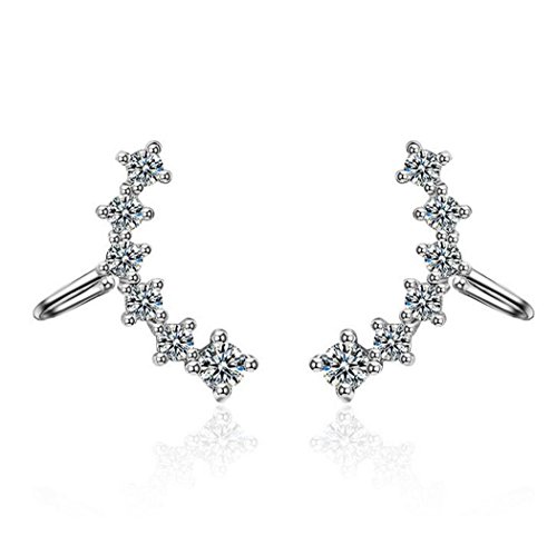 Damen Mädchen Ohrringe ohrklemme Clips Ohne Loch 925er Sterling Silber Mode Elegant Glitter Zirkonia Bekleidungszubehör von Canarea