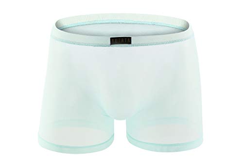 Herren Sexy Boxershorts Ultra Dünn Atmungsaktive Mesh Transparent Low Rise Beutel Unterhose Unterwäsche Bequem Briefs Shorts Männer (L, Hell Blau) von Canarea