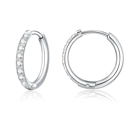 Titan Creolen Ohrringe für Damen Herren G23 Titan Zirkonia Creolen Hypoallergen Klein Klappcreolen Kreolen Knorpel Helix Ohrpiercing 12mm von Candyfancy