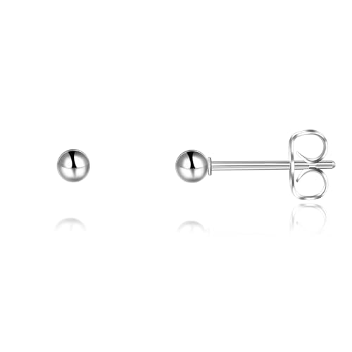 Titan Ohrstecker Hypoallergen Damen Herren Mädchen G23 Titan Ohrringe Kleine Kugel Ohrstecker 3mm Titan Ohrstecker Hypoallergen Damen Herren Mädchen G23 Titan Ohrringe Kleine Kugel Ohrstecker 3mm von Candyfancy