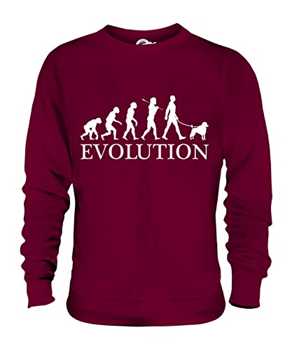 Candymix Pudel Evolution des Menschen Und Hund Unisex Herren Damen Sweatshirt, Größe 2X-Large, Farbe Burgunderrot von Candymix
