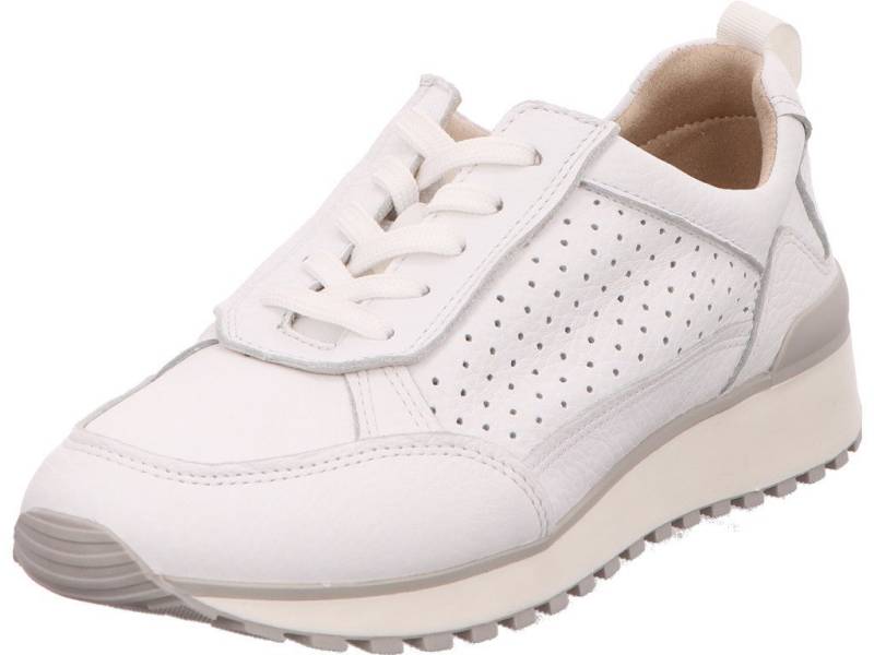 Caprice Sneaker von Caprice