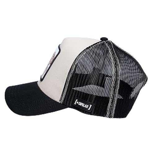 Capslab Marvel Harry Potter Cap CL-HP1-1-CT-DOB3, Herren, Cap, Beige, One Size von Capslab