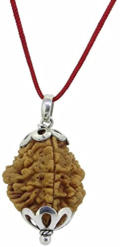 CaratYogi Original Lab Certified Nepali 2 Mukhi Two Faced Rudraksha Beads Pendant Silver Plated Bead Medaillon für Männer & Frauen von CaratYogi