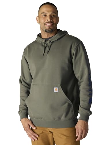 Carhartt Mittelschweres Sweatshirt mit Logo-Ärmeln und grafischem Design, lockerer Passform von Carhartt