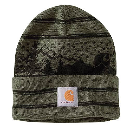 Carhartt Unisex Hat Beanie mit Bündchen und Outdoor-Grafik - Mütze, One Size, Basil von Carhartt