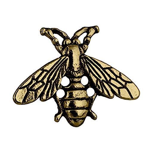 Caritierily Brosche Name Weibliche schmuck Frauen Metall brosche Vintage für pin brosche Biene Legierung Schnalle brosche (Gold, One Size) von Caritierily