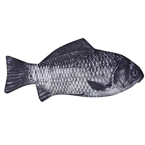 Caritierily Fisch Federmäppchen Lustige Karpfen Make-up Tasche Geldbörse mit Reißverschluss, 7808442544846 von Caritierily