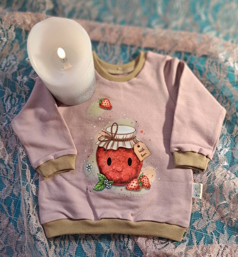 Pullover/Frenchterry Langarm Shirt Kinder Niedliches Babyshirt Babypullover Pullover/Frenchterry Langarm Shirt Kinder Niedliches Babyshirt Babypullover von Carosnaehliebe