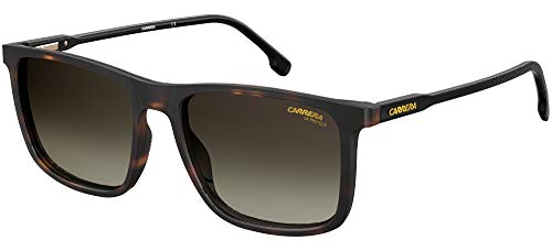 Carrera Unisex 231/s Sunglasses, 086/HA Havana, 55 von Carrera