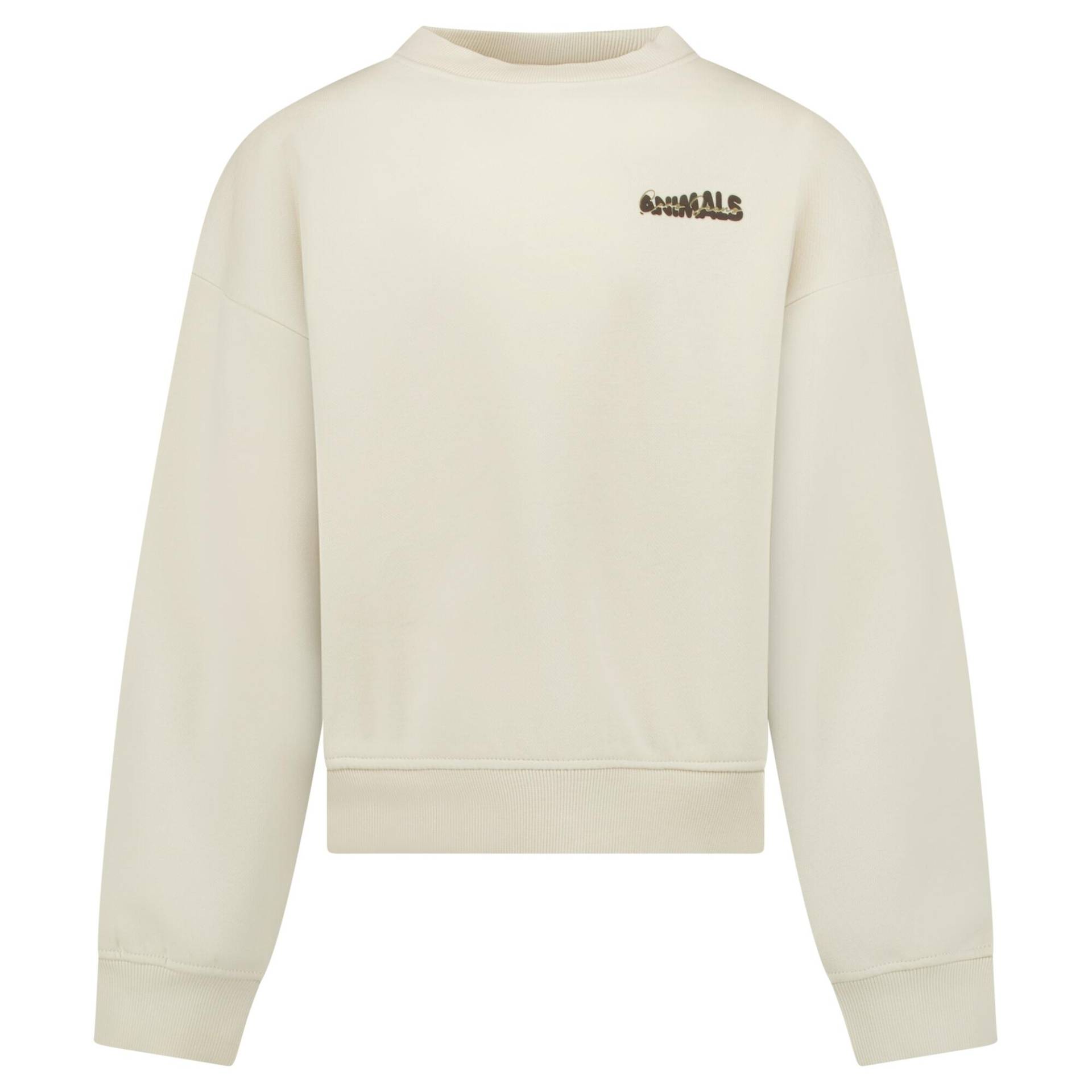 Cars Jeans - Pullover Zezzy jr. sand - Gr. - 10 von Cars Jeans