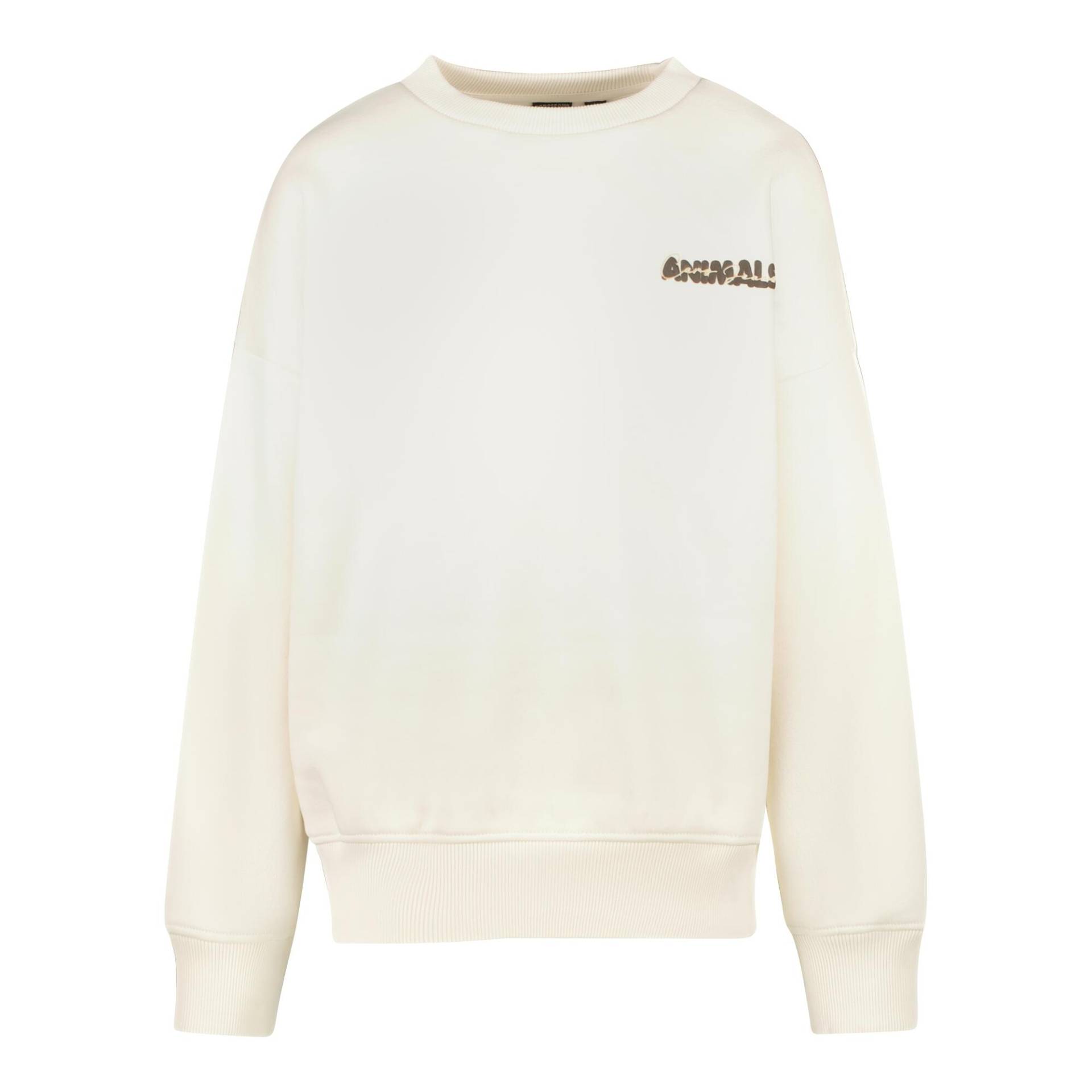 Cars Jeans - Pullover zez jr. ecru - Gr. - 10 von Cars Jeans