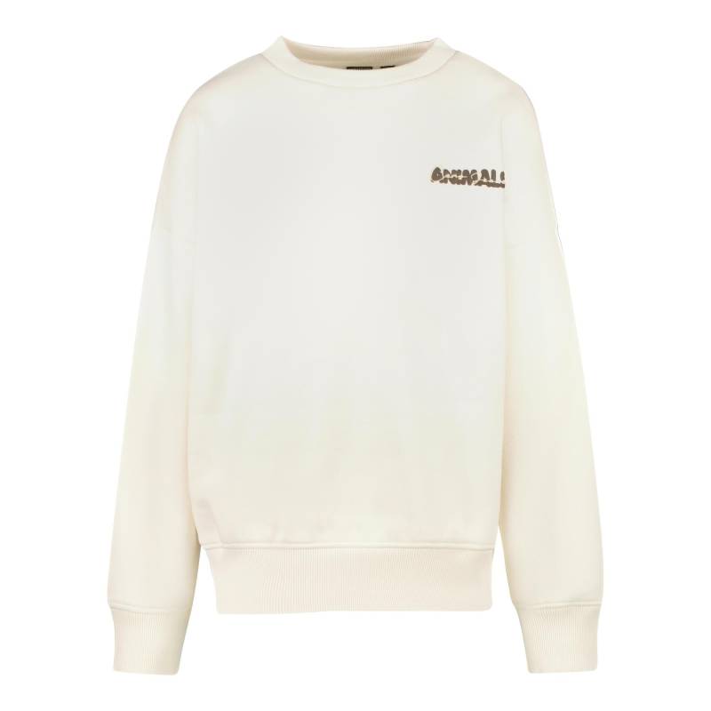 Cars Jeans - Pullover zez jr. ecru - Gr. - 10 von Cars Jeans