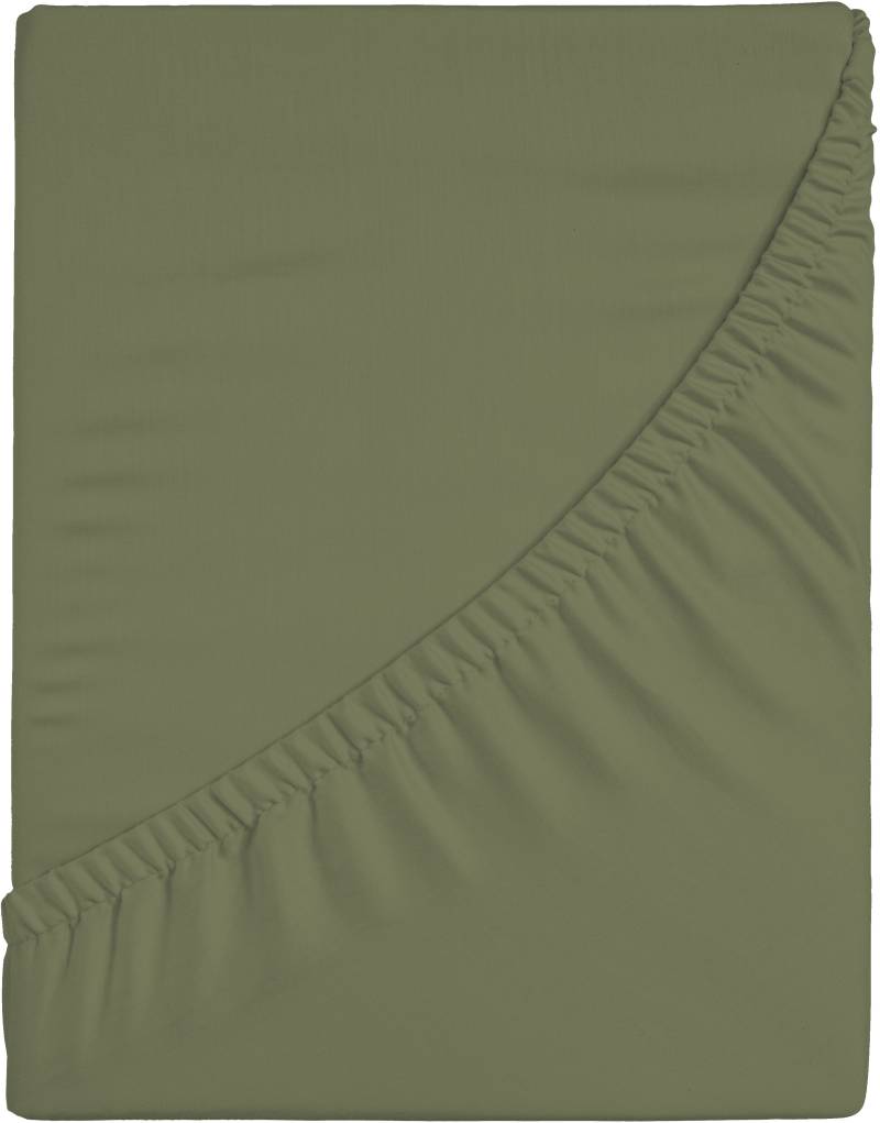 CASATEX Spannbettlaken "Jersey-Elasthan" mit Elasthan von Casatex