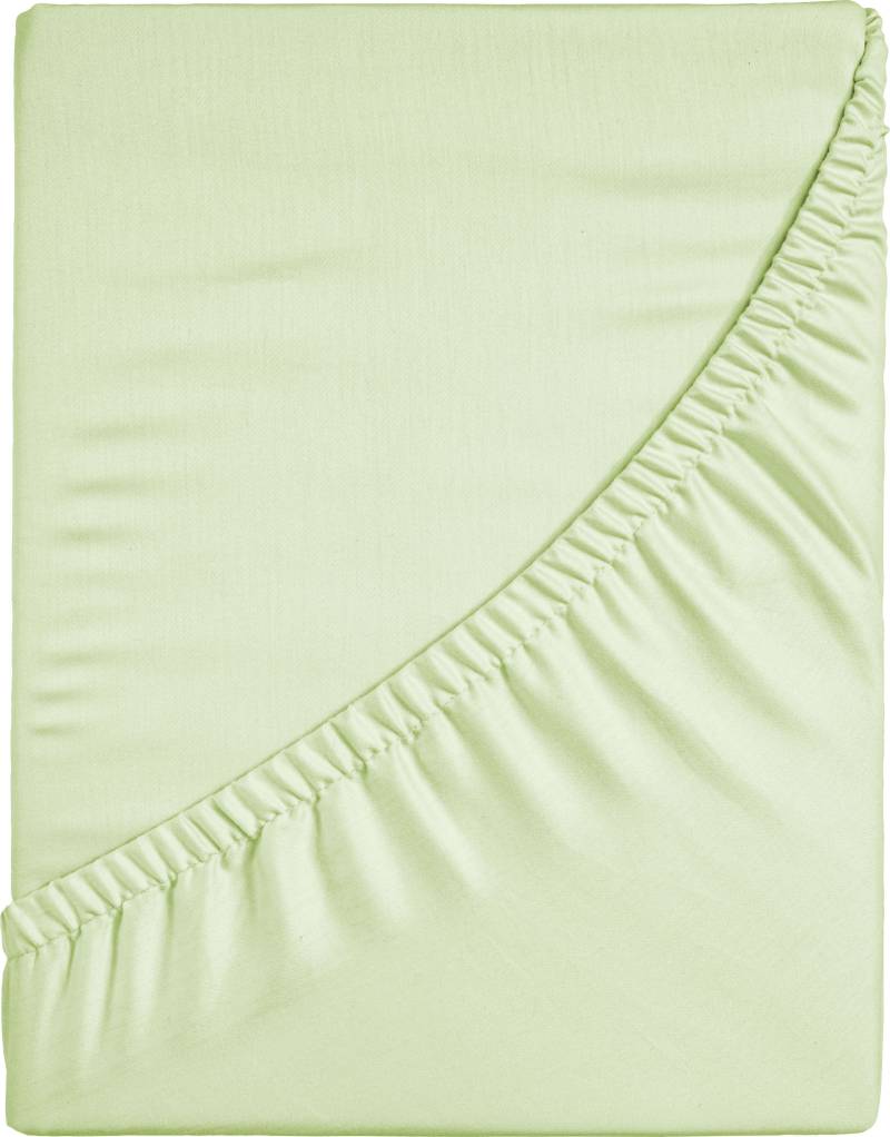 CASATEX Spannbettlaken "Jersey-Elasthan" mit Elasthan von Casatex