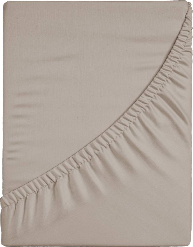 CASATEX Spannbettlaken "Jersey-Elasthan" mit Elasthan von Casatex