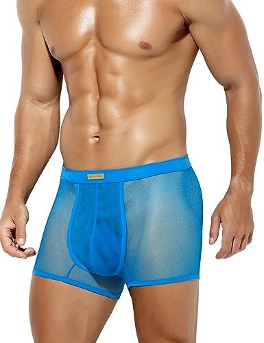 Casey Kevin Herren Transparent Boxershorts, Männer Sexy Unterwäsche Niedrige Taille Mesh Boxer Unterhose Hipster Retroshorts von Casey Kevin