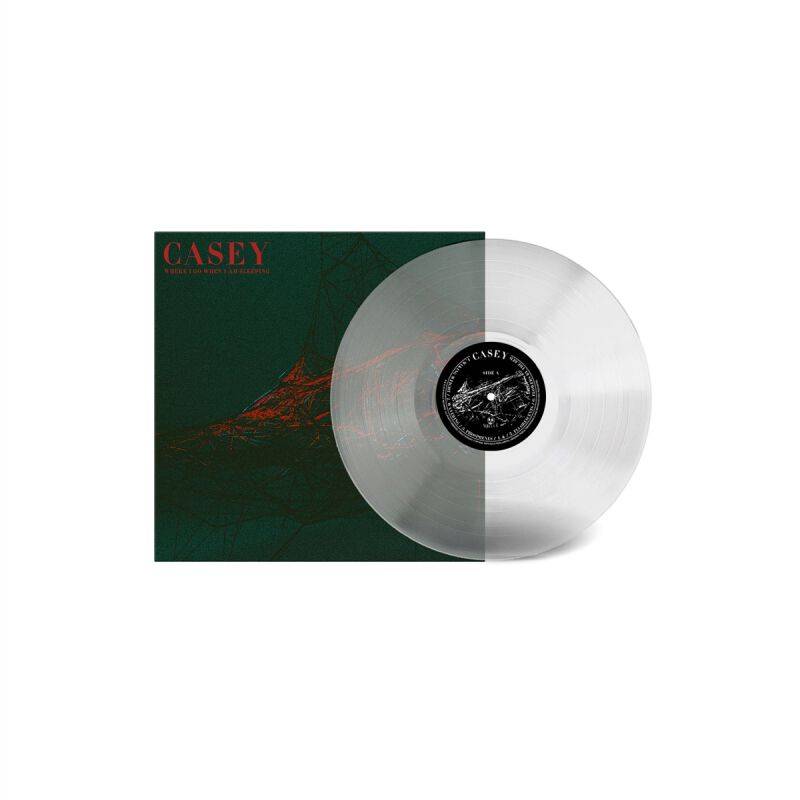Casey Where I go when I am sleeping LP multicolor von Casey